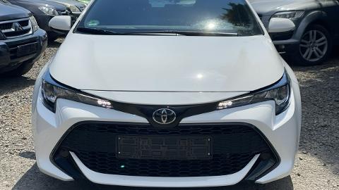 Toyota Corolla Seria E21  (116KM) - 69 900  PLN, 2019 - Łodygowice - wyprzedaż | Autoria.pl