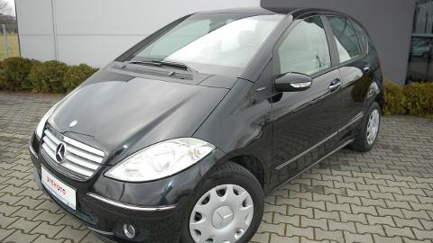 Mercedes-Benz Klasa A W169  (95KM) - 13 900  PLN, 2006 - Dębica - wyprzedaż | Autoria.pl