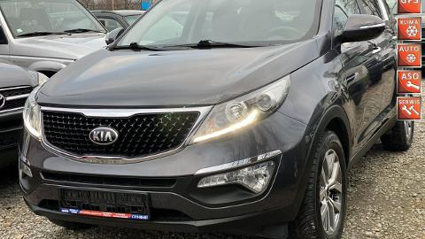 Kia Sportage III  (140KM) - 49 900  PLN, 2015 - Łodygowice - wyprzedaż | Autoria.pl