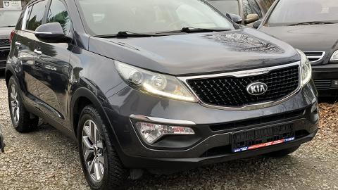 Kia Sportage III  (140KM) - 49 900  PLN, 2015 - Łodygowice - wyprzedaż | Autoria.pl