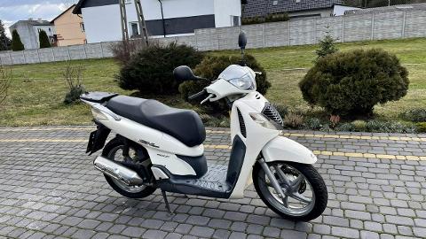 Honda SH (14KM) - 4 900  PLN, 2006 - Bliżyn - wyprzedaż | Autoria.pl