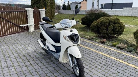 Honda SH (14KM) - 4 900  PLN, 2006 - Bliżyn - wyprzedaż | Autoria.pl