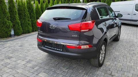 Kia Sportage III  (115KM) - 52 500  PLN, 2014 - Jatutów - wyprzedaż | Autoria.pl