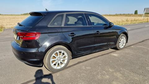 Audi A3 8V  (150KM) - 34 900  PLN, 2014 - PLESZEW - wyprzedaż | Autoria.pl