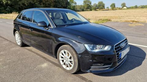 Audi A3 8V  (150KM) - 34 900  PLN, 2014 - PLESZEW - wyprzedaż | Autoria.pl