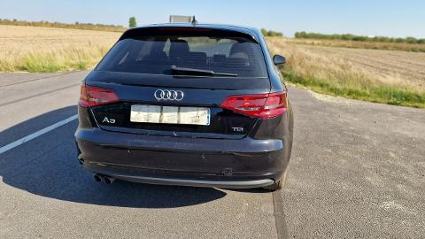 Audi A3 8V  (150KM) - 34 900  PLN, 2014 - PLESZEW - wyprzedaż | Autoria.pl