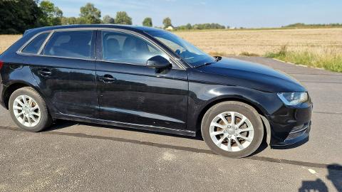 Audi A3 8V  (150KM) - 34 900  PLN, 2014 - PLESZEW - wyprzedaż | Autoria.pl