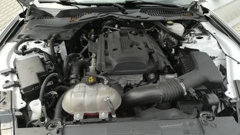 Ford Mustang (290KM) -  127 800  PLN, 2019 - Tarnów - wyprzedaż | Autoria.pl