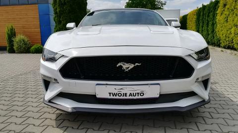 Ford Mustang (290KM) -  127 800  PLN, 2019 - Tarnów - wyprzedaż | Autoria.pl