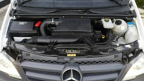 Mercedes-Benz Vito (95KM) - 31 900  PLN, 2014 - Strzegom - wyprzedaż | Autoria.pl