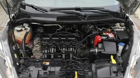 Ford Fiesta Mk7  (82KM) - 36 900  PLN, 2016 - Strzegom - wyprzedaż | Autoria.pl