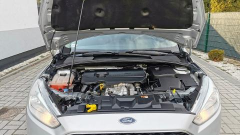 Ford Focus Mk3  (95KM) - 35 900  PLN, 2016 - Strzegom - wyprzedaż | Autoria.pl