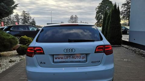 Audi A3 8P  (140KM) - 34 900  PLN, 2009 - Strzegom - wyprzedaż | Autoria.pl