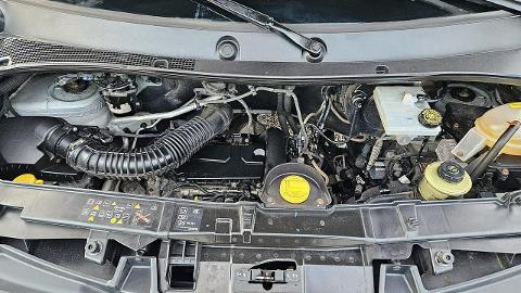 Opel Movano (110KM) - 39 900  PLN, 2016 - Kutno - wyprzedaż | Autoria.pl