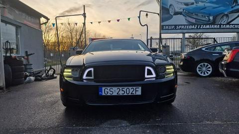 Ford Mustang V  (305KM) - 57 900  PLN, 2013 - Słupsk - wyprzedaż | Autoria.pl