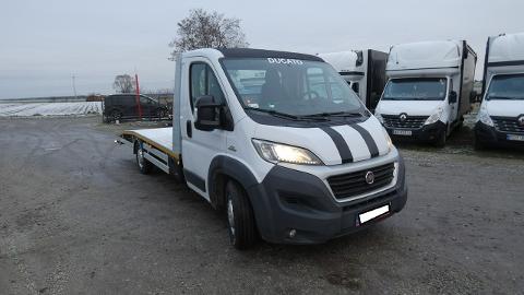 Fiat Ducato (180KM) - 65 900  PLN, 2015 - Raszków - wyprzedaż | Autoria.pl