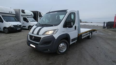 Fiat Ducato (180KM) - 65 900  PLN, 2015 - Raszków - wyprzedaż | Autoria.pl