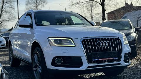 Audi Q5 8R  (170KM) - 69 700  PLN, 2013 - Łodygowice - wyprzedaż | Autoria.pl