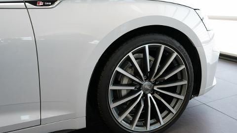 Audi A5 F5  (190KM) -  179 850  PLN, 2019 - Kielce - wyprzedaż | Autoria.pl
