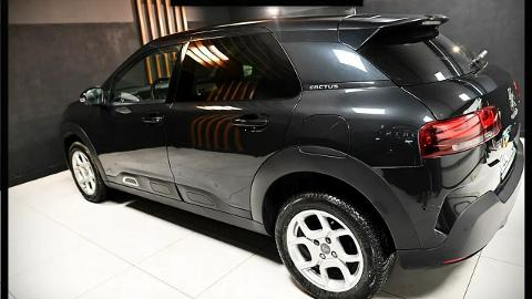 Citroën C4 Cactus I  (110KM) - 59 900  PLN, 2021 - Banino - wyprzedaż | Autoria.pl