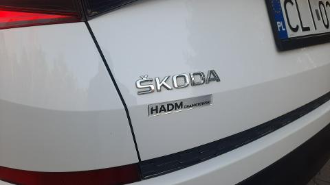Škoda Kodiaq (150KM) - 90 900  PLN, 2018 - Skępe - wyprzedaż | Autoria.pl