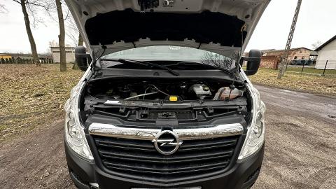 Opel Movano (130KM) - 72 900  PLN, 2019 - Józefkowo - wyprzedaż | Autoria.pl