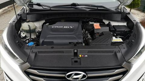 Hyundai Tucson III  (136KM) - 66 900  PLN, 2015 - Strzegom - wyprzedaż | Autoria.pl