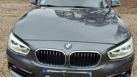 BMW Seria  1 F40  (116KM) - 38 900  PLN, 2018 - PLESZEW - wyprzedaż | Autoria.pl