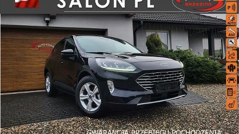 Ford Kuga III  (120KM) -  108 900  PLN, 2022 - Rydułtowy - wyprzedaż | Autoria.pl