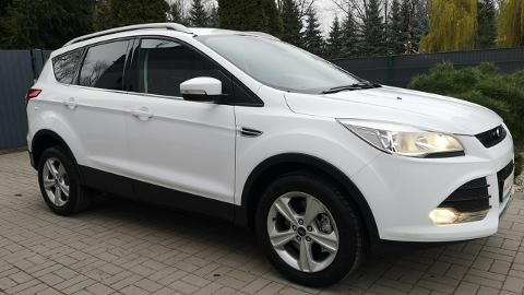 Ford Kuga II  (140KM) - 52 900  PLN, 2014 - Strzegom - wyprzedaż | Autoria.pl