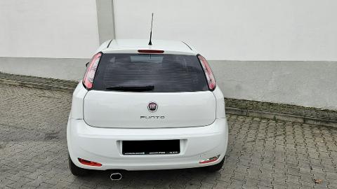 Fiat Punto Evo (78KM) - 22 756  PLN, 2013 - Rybnik - wyprzedaż | Autoria.pl