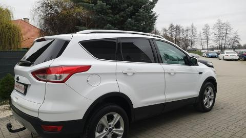 Ford Kuga II  (140KM) - 52 900  PLN, 2014 - Strzegom - wyprzedaż | Autoria.pl