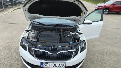 Škoda Octavia IV  (116KM) - 54 900  PLN, 2020 - Ochaby Małe - wyprzedaż | Autoria.pl