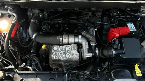 Ford B-MAX (75KM) - 26 900  PLN, 2014 - Częstochowa - wyprzedaż | Autoria.pl