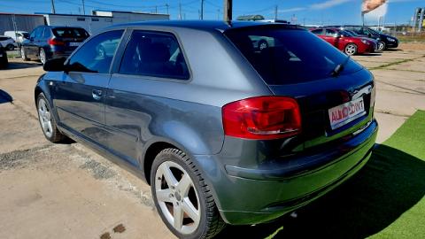 Audi A3 8P  (140KM) - 17 900  PLN, 2004 - Kraków - wyprzedaż | Autoria.pl