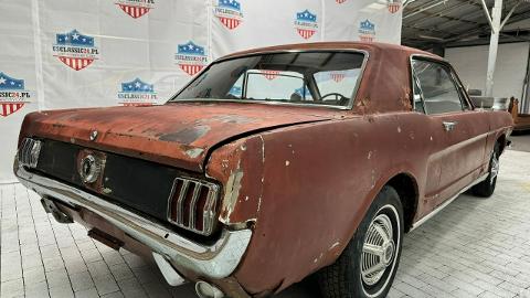 Ford Mustang I  (200KM) - 24 900  PLN, 1965 - Sulechów - wyprzedaż | Autoria.pl