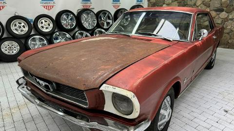 Ford Mustang I  (200KM) - 24 900  PLN, 1965 - Sulechów - wyprzedaż | Autoria.pl