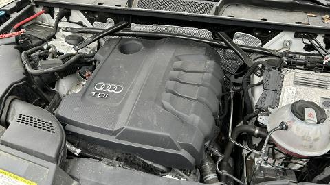 Audi Q5 FY  (190KM) -  129 800  PLN, 2017 - Tarnów - wyprzedaż | Autoria.pl