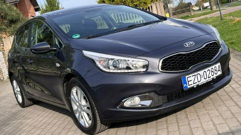 Kia Ceed II  (99KM) - 39 900  PLN, 2014 - Zduńska Wola - wyprzedaż | Autoria.pl