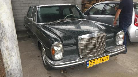 Mercedes-Benz inny (200KM) - 64 900  PLN, 1972 - Zieleniewo - wyprzedaż | Autoria.pl