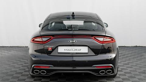 Kia Stinger (245KM) -  109 850  PLN, 2019 - Gdańsk - wyprzedaż | Autoria.pl