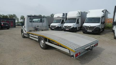 Fiat Ducato (160KM) - 52 900  PLN, 2015 - Raszków - wyprzedaż | Autoria.pl