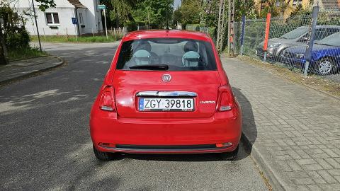 Fiat 500 I  (69KM) - 37 999  PLN, 2021 - Szczecin - wyprzedaż | Autoria.pl