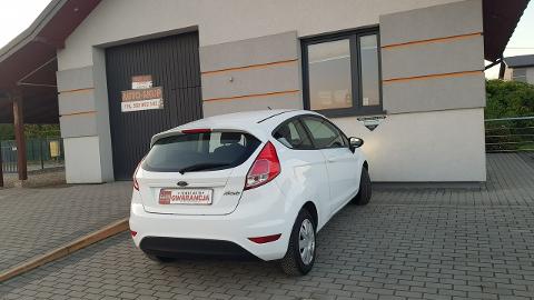 Ford Fiesta Mk7  (75KM) - 21 950  PLN, 2016 - Chełm Śląski - wyprzedaż | Autoria.pl