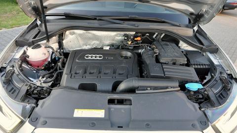 Audi Q3 8U  (143KM) - 60 900  PLN, 2013 - Ostrów Mazowiecki - wyprzedaż | Autoria.pl