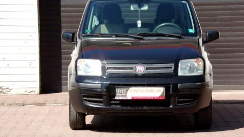 Fiat Panda II  (60KM) - 12 900  PLN, 2009 - MIKOŁÓW - wyprzedaż | Autoria.pl