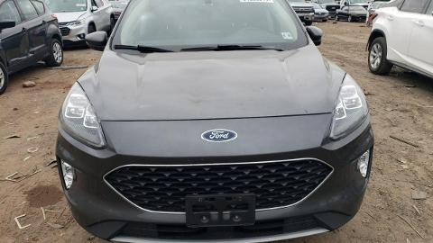 Ford Kuga III  (251KM) - 56 100  PLN, 2020 - wyprzedaż | Autoria.pl