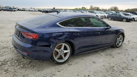 Audi A5 F5  (245KM) - 53 400  PLN, 2019 - wyprzedaż | Autoria.pl