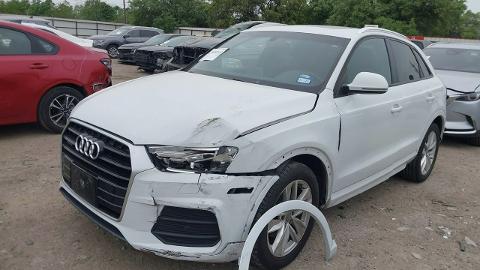 Audi Q3  (200KM) - 39 100  PLN, 2017 - wyprzedaż | Autoria.pl