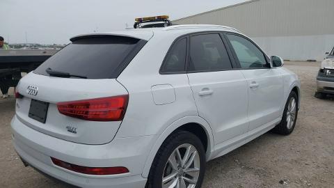 Audi Q3  (200KM) - 39 100  PLN, 2017 - wyprzedaż | Autoria.pl